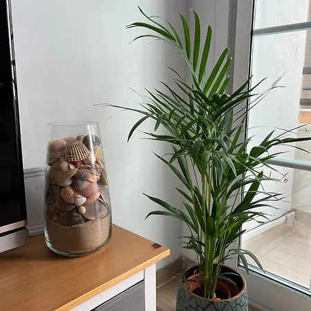 Mi Sueno De Conil דירה קוניל דה לה פרונטרה